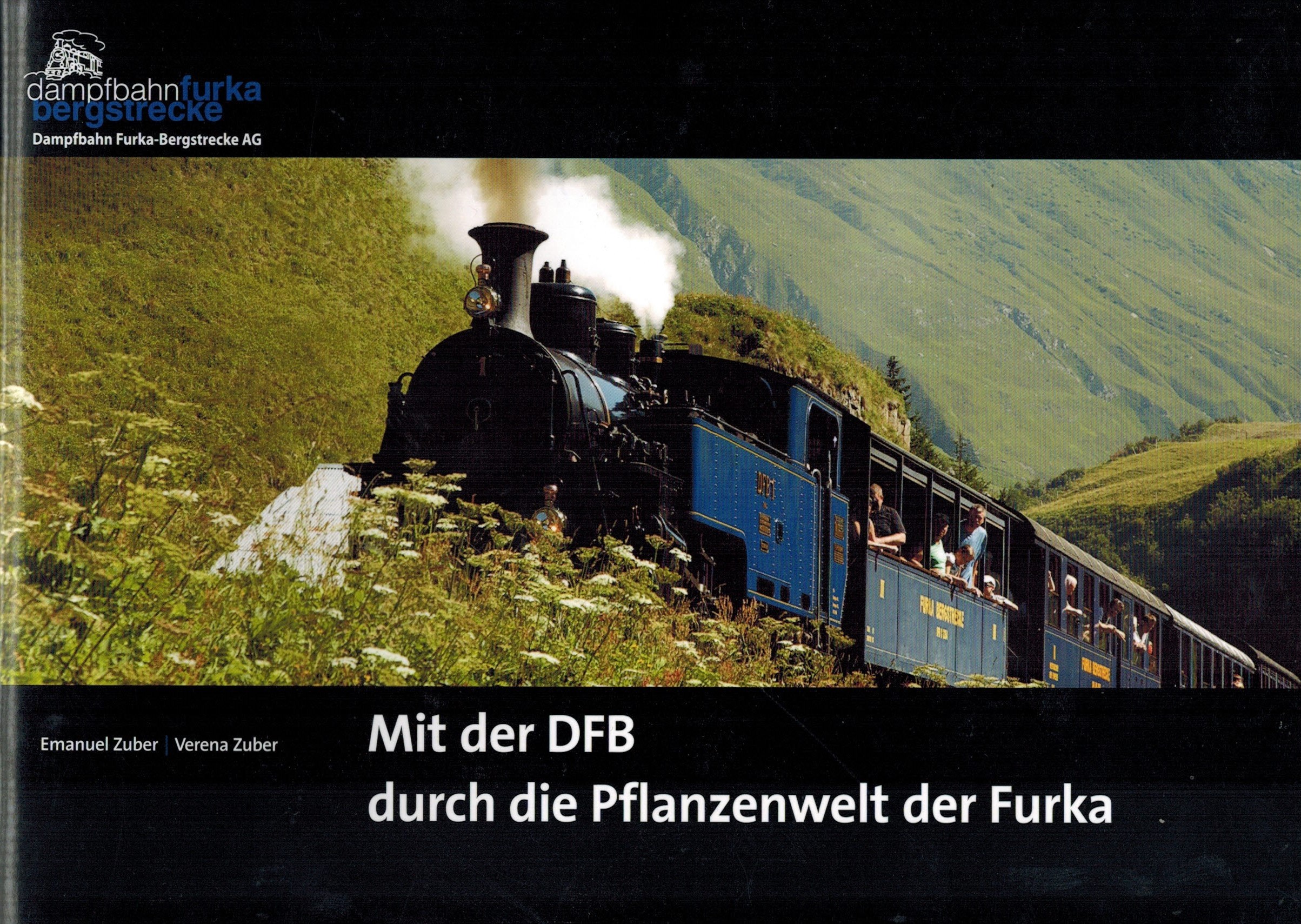 Pflanzenwelt der Furka